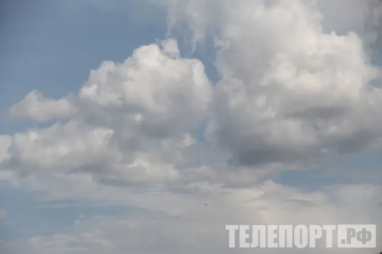 В отдельных районах Амурской области 11 апреля пройдут небольшие и умеренные осадки