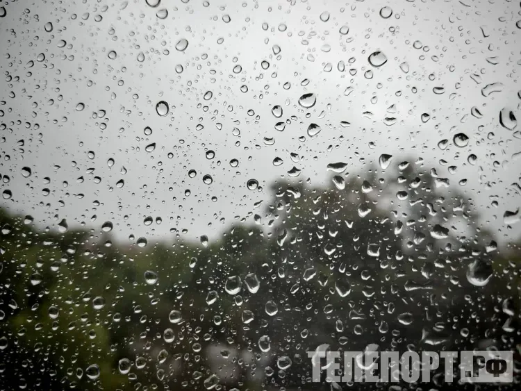 Снег и дождь пройдут местами в Приамурье 13 апреля