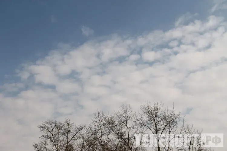 Местами порывы ветра в Амурской области 14 апреля достигнут 13 м/с