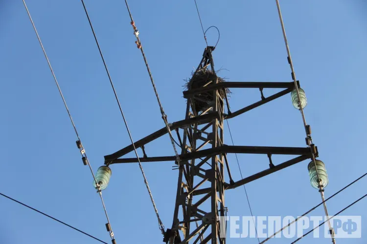 Мужчину ударило током при попытке подключиться к ЛЭП в Константиновском районе