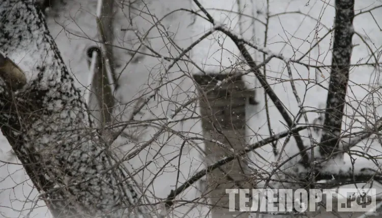 Сильные осадки с порывами ветра до до 17 м/с накроют Амурскую область