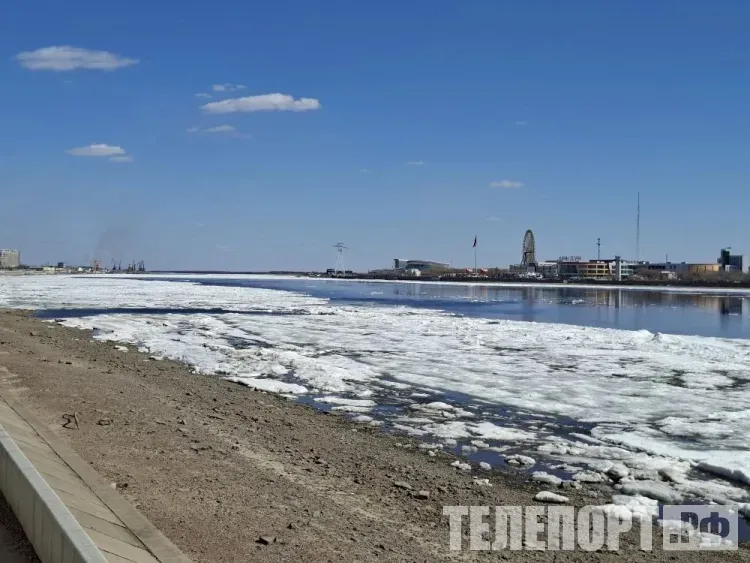 Ледоход раньше времени начался на Амуре напротив Благовещенска