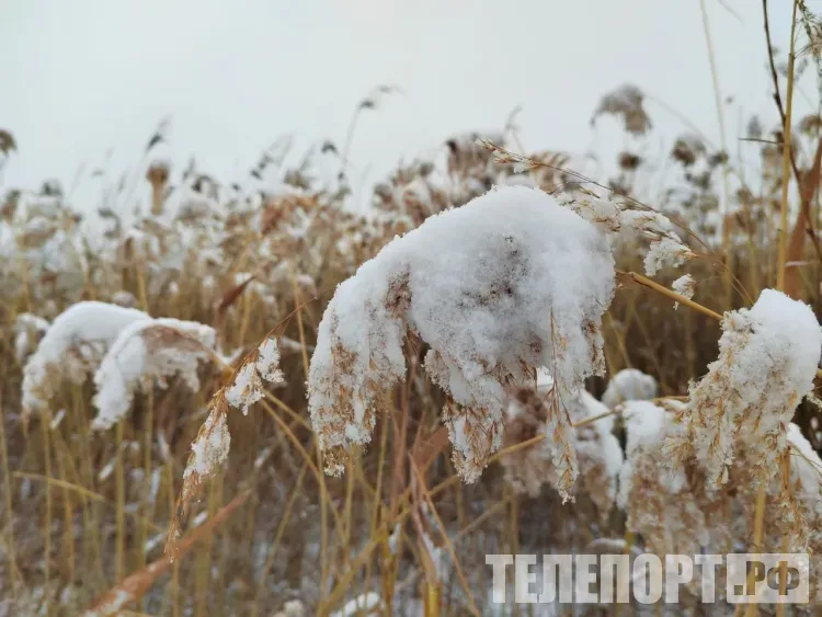 Умеренные осадки: снег, мокрый снег, дождь пройдут местами в Амурской области 21 апреля