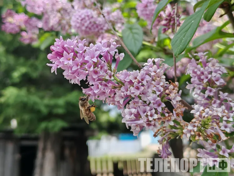 Субсидия от государства помогла ветерану спецоперации расширить семейную пасеку