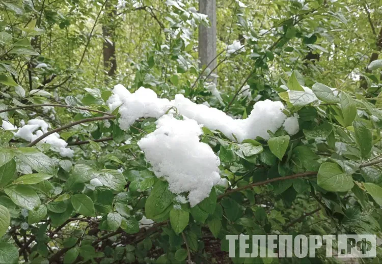 Жертвы и масштабные отключения света в регионах России: апрельский апокалипсис