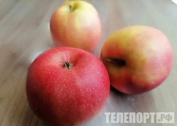 Яблоки по 1000 рублей за килограмм на Чукотке сильно удивили вице-премьера Трутнева