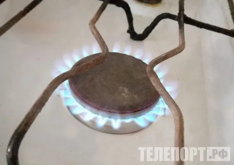 Россия заняла первое место в Европе по доступности газа для населения