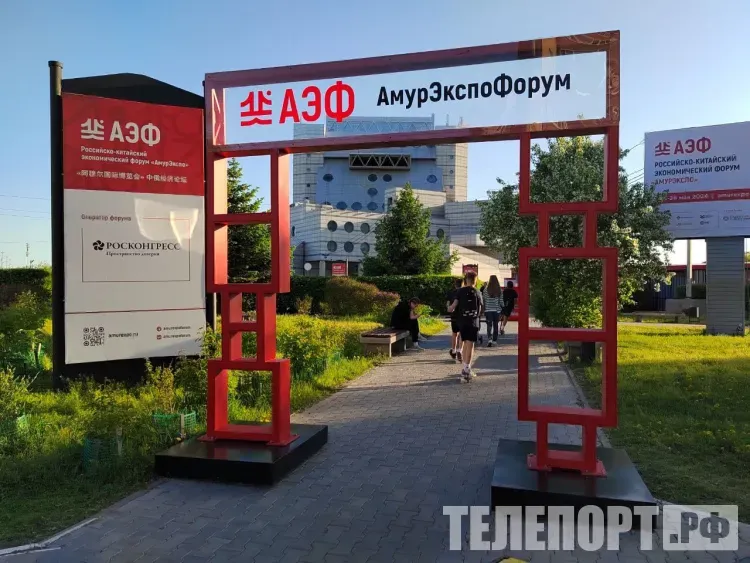 Канатная дорога и международный мост: роуд-шоу пройдет для гостей АмурЭкспоФорума