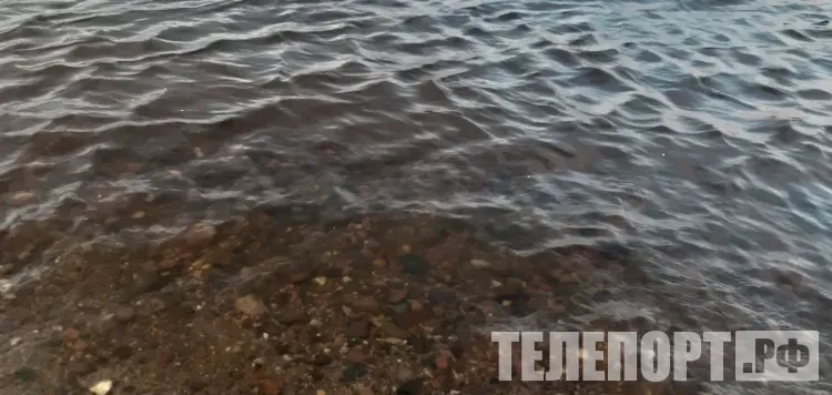 Тело мужчины обнаружили в водоеме в Приамурье