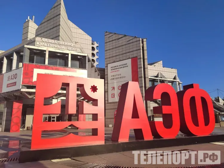 Амурозавров из войлока и амурские бирюльки смогут сделать гости АмурЭкспоФорума