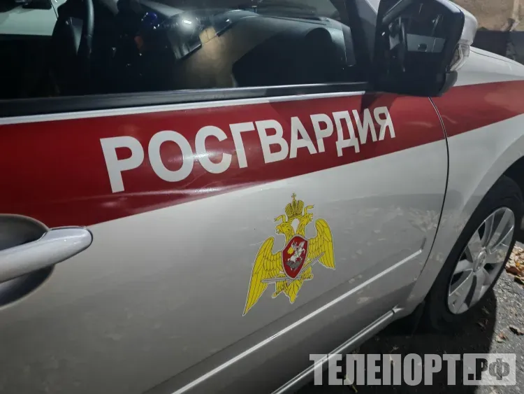 Росгвардейцы не дали огню перекинуться на жилые дома