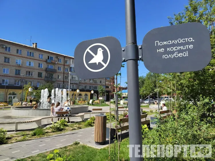 Мэр Благовещенска призвал горожан не кормить голубей и заботиться о порядке в городе