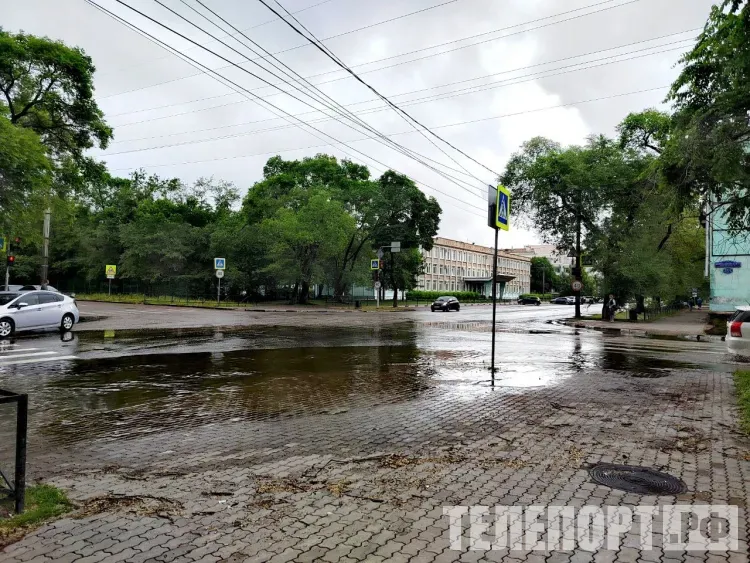Несколько районов Амурской области окажутся под дождем 4 июня
