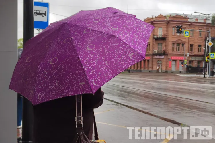 Дождливая погода с похолоданием ожидается в Амурской области 6 июня