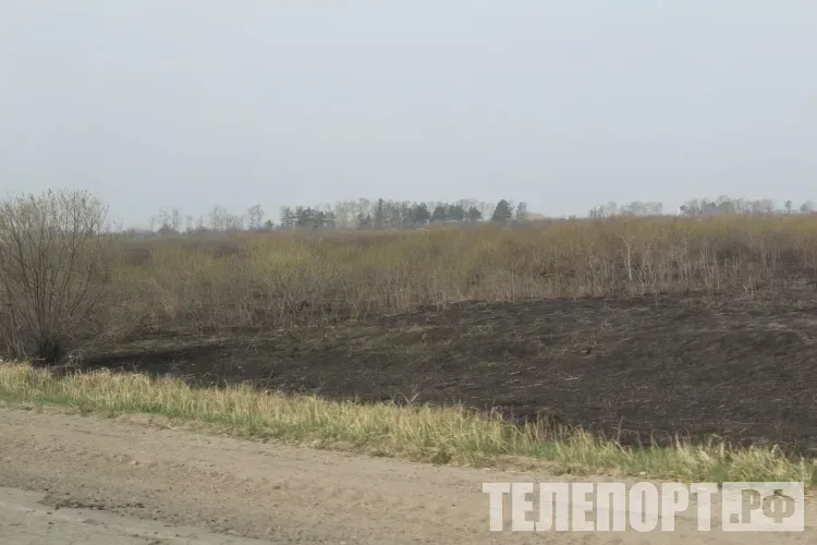 Особый противопожарный режим в Благовещенском округе: что запрещено и чем грозит нарушение