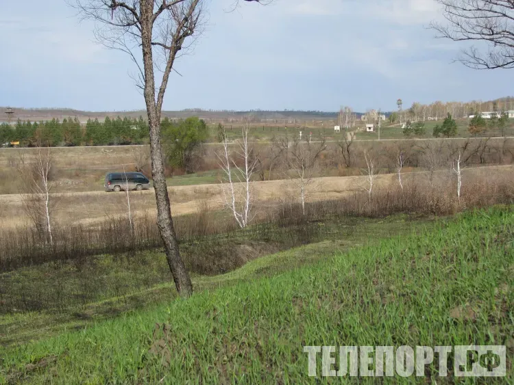 Очередь многодетных за земельными участками сократилась в четыре раза в Приамурье