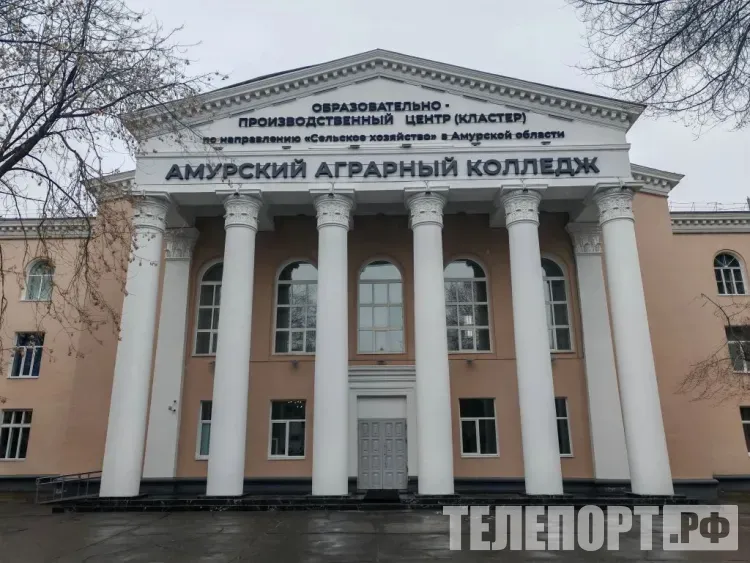 Новые специальности открыли в колледжах Амурской области
