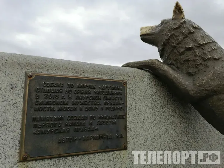 «Погода шикарная!»: Сергей Лазарев восхитился городом, погладил памятник псу и оценил канатную дорогу в Китай