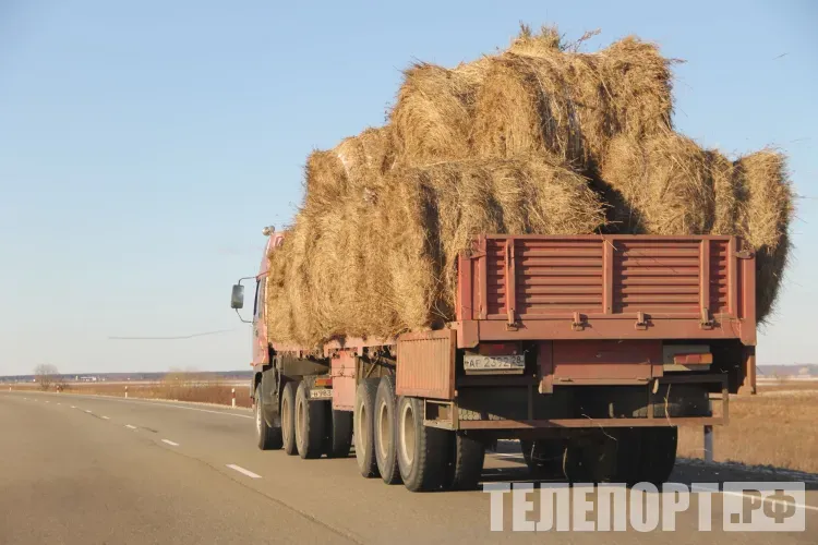 Платным станет проезд для большегрузов на путепроводе в Новобурейском