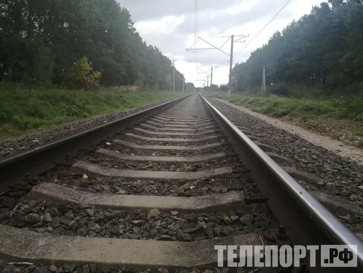 Россия закрыла несколько погранпереходов через границу с Прибалтикой и Финляндией