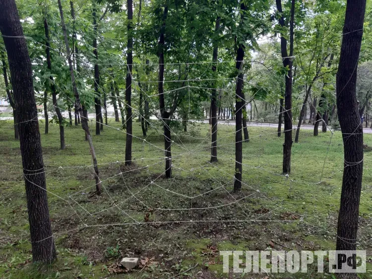 Гроза с усилением ветра до 13 м/с пройдет в Амурской области 3 июля