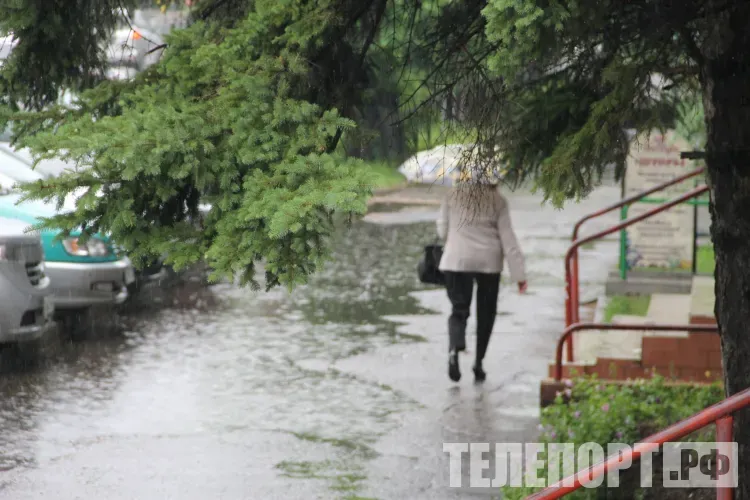Дожди, ливни и грозы продолжатся 10 июля в Амурской области