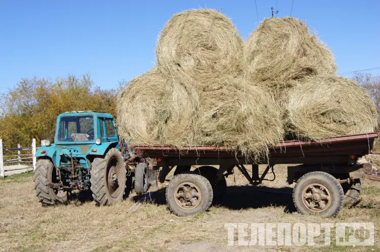 Агрономы и трактористы прошли обучение за счет государства
