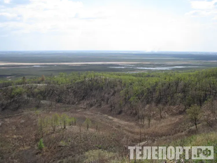 Скотомогильники готовят к очистке в двух округах Приамурья