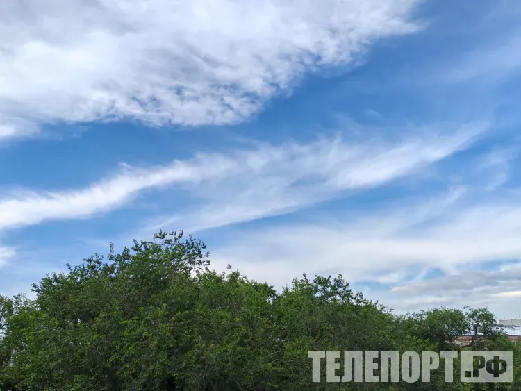 Прогноз погоды на 29 июля 2026 года в Амурской области: дневная температура до +29 °С