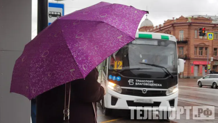 Пересмотрят маршруты автобусов и обновят десятки остановок в Приамурье