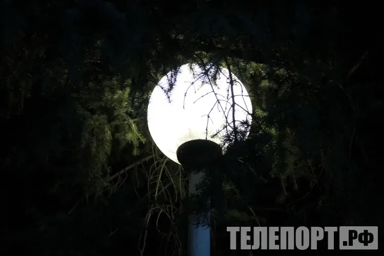 Мужчина разбил фонарь на прогулке с девушкой по набережной