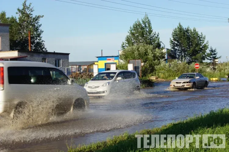 Бороться с пьяными водителями помогают амурчане: 43 человека получили вознаграждение