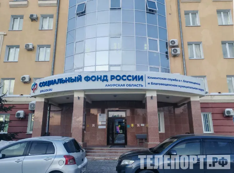 Две выплаты начнет предоставлять Социальный фонд