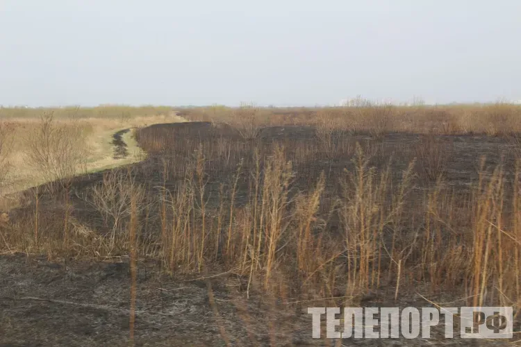 Особый противопoжарный режим снят на всей территории Приамурья