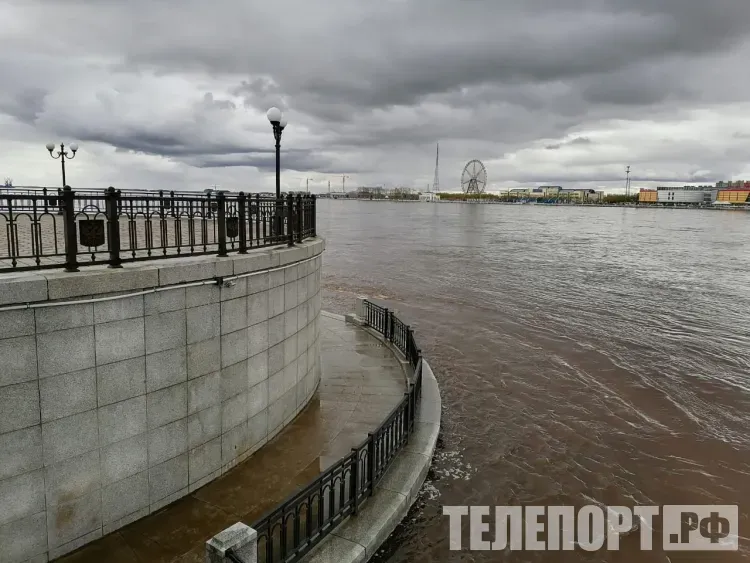 Уровень воды может подняться на метр на реках Амурской области
