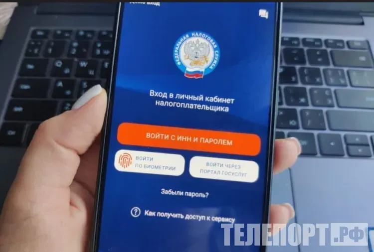 Дорогие покупки, которые могут заинтересовать налоговую, назвали россиянам