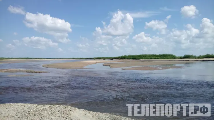 Туристов на сапбордах спасли на реке Зея