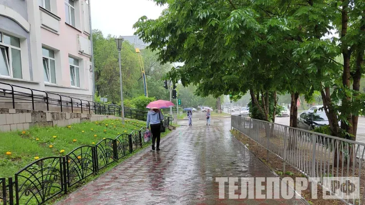 Сильные дожди, ливни и грозы пройдут 20 августа в Амурской области
