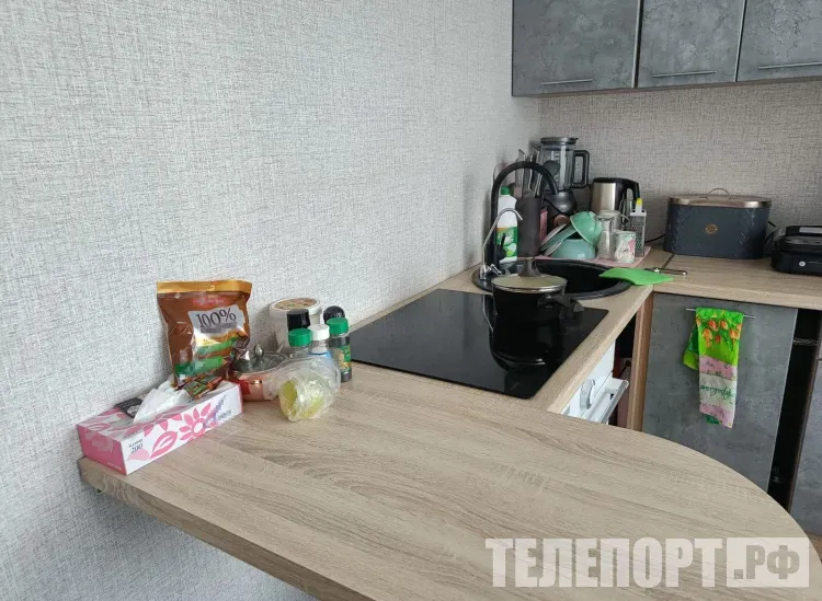 Тараканы и мухи: какую опасность они приносят в дом