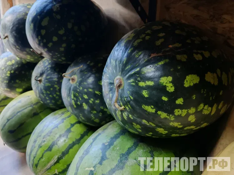 Сладкие арбуз и дыня – можно ли их есть без опаски, объяснила врач