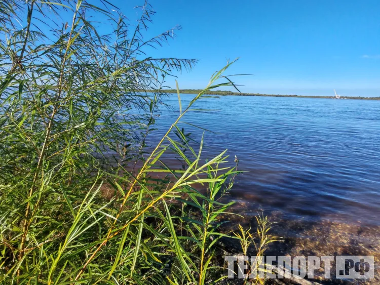 Температура в дневные часы в Амурской области 22 августа не превысит +24 °С