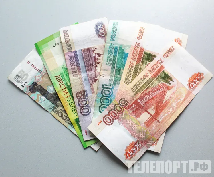 В образование детей вкладывают материнский капитал амурчанки