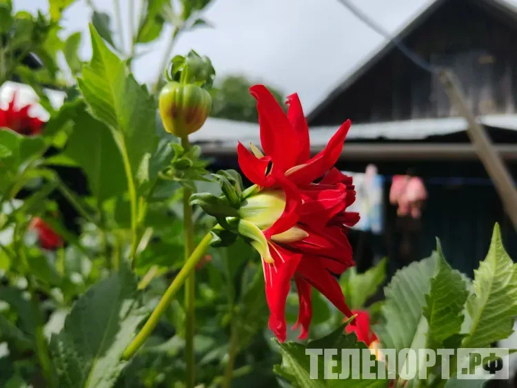 Погода 30 августа в Амурской области: в центре и на юге местами пройдут дожди