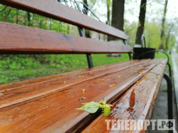 Прогноз погоды на 31 августа в Амурской области: ожидается кратковременный дождь