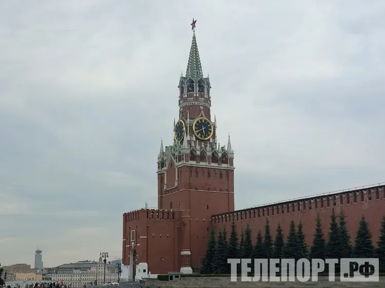 Путин и Трамп по телефону обсудили завершение конфликта на Украине