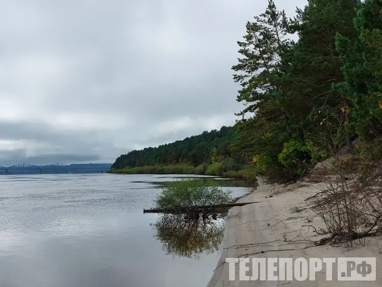 Прогноз погоды на 11 сентября в Амурской области: на большей территории кратковременные дожди, местами гроза