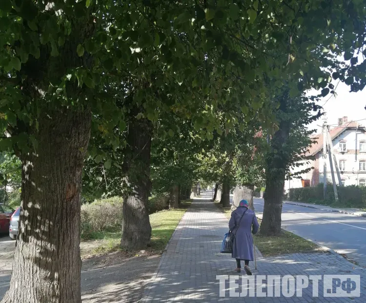 График выхода на пенсию в России в 2027 году будет на паузе