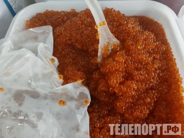 Красная икра в сентябре взлетела в цене до 20 тысяч за килограмм