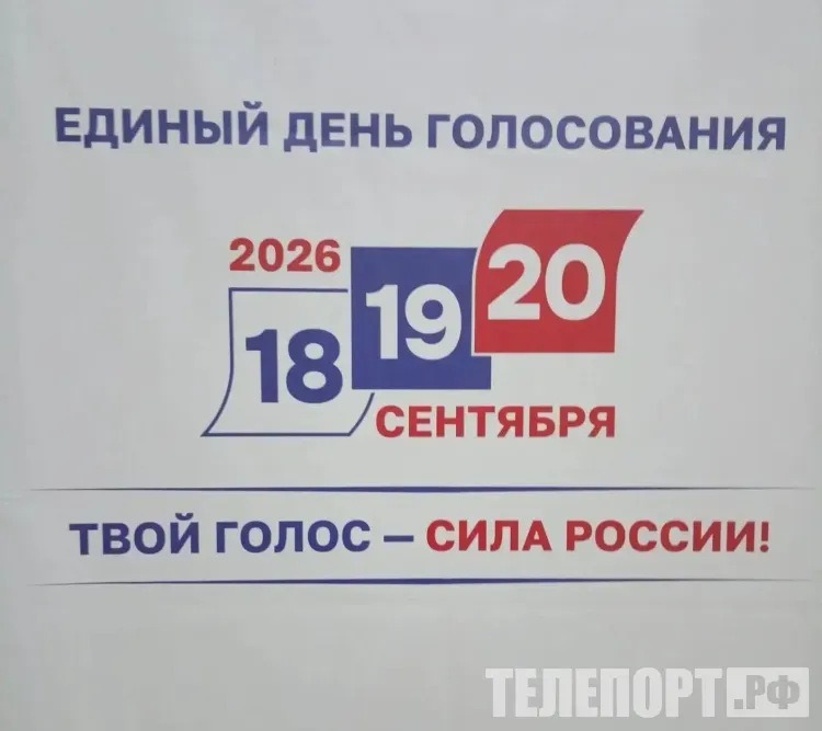 Россияне в Китае голосуют на выборах в Госдуму