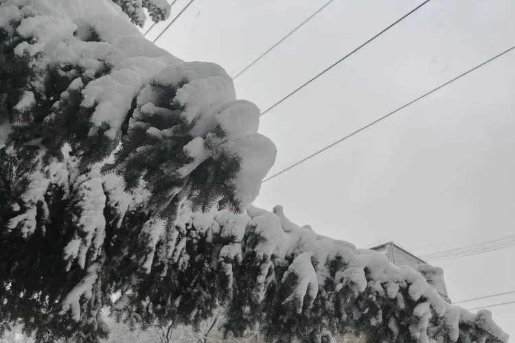 Снег и ветер прогнозируют в Приамурье 15 февраля